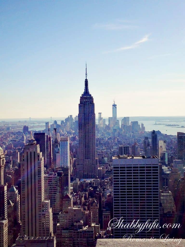 new york skyline on a clear day