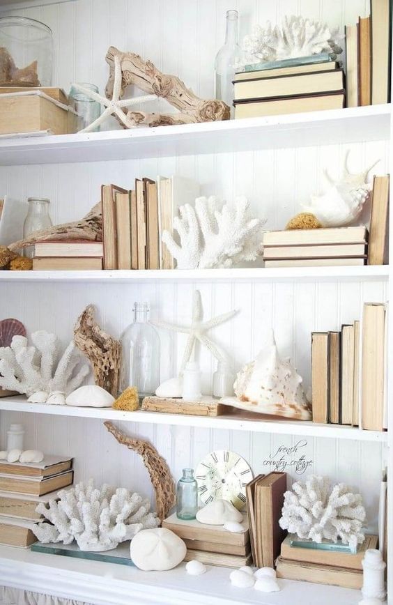 sea shell decor idea featuring a bookshelf with seashells