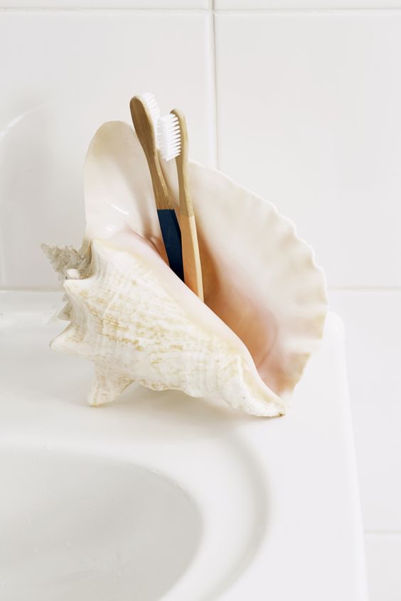 sea shell decor idea featuring a sea shell as a toothbrush holder