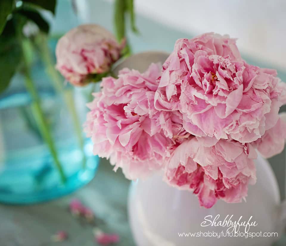 Romantic Floral Lifestyle Photography…Persuing Passions…And A Giveaway Winner