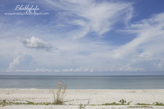 HGTV-ing…A New Rug and A Special Place Called Sanibel