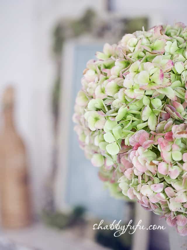 These hydrangeas are perfect for any fall vignettes - they're fresh with soft pink and green colors to even out the crisp fall tones of brown, gold, and orange. 