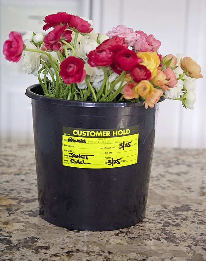Creative DIY Flower Pot Idea 