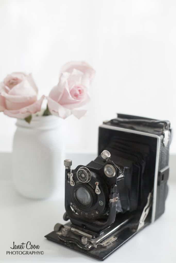 vintage camera and roses