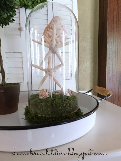 Creative Ways To Decorate With Shells shells under a cloche