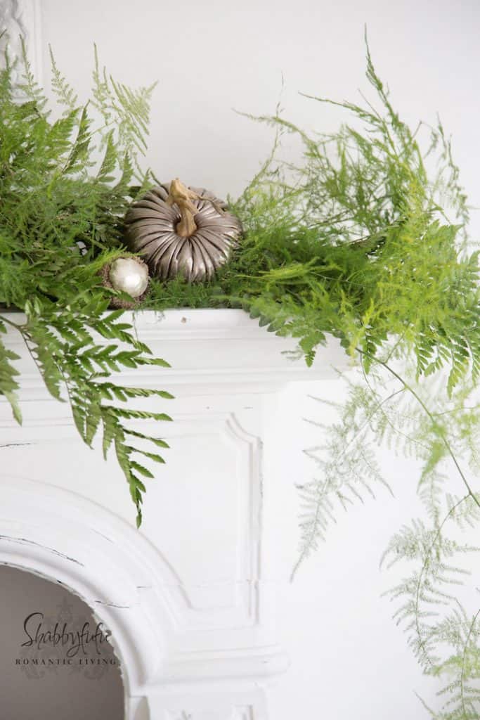 decorating with ferns