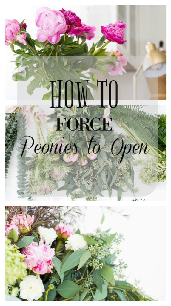 force peonies to open