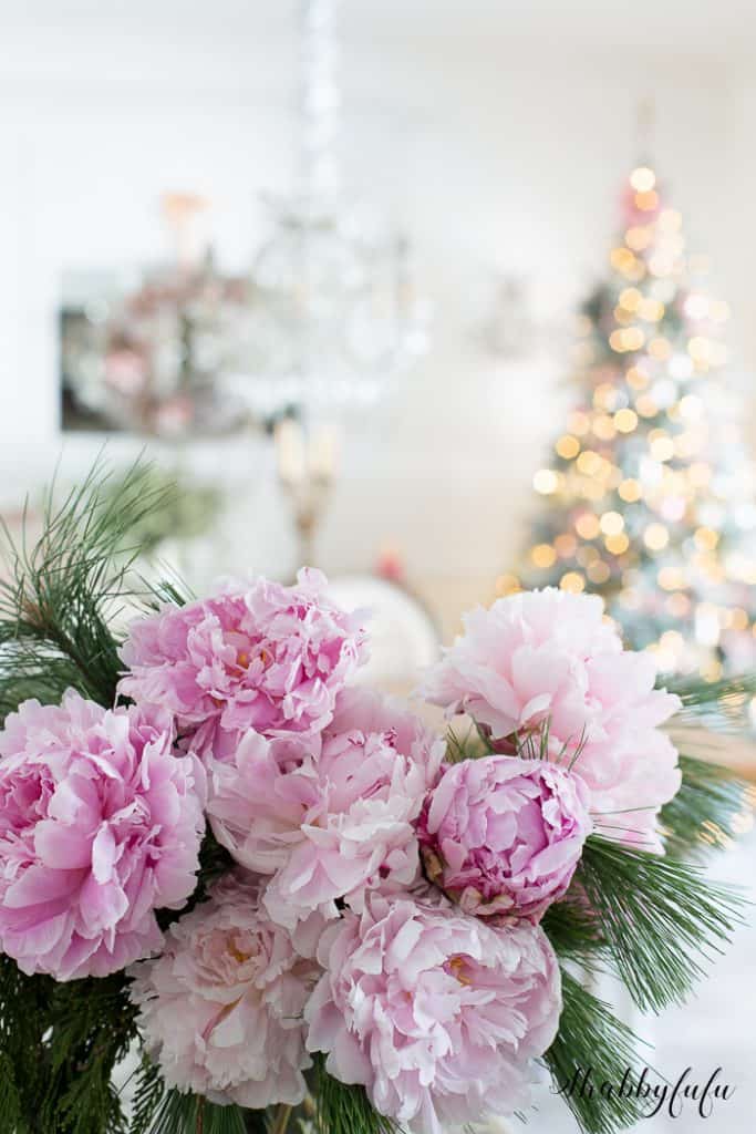 beautiful pink peony picture christmas