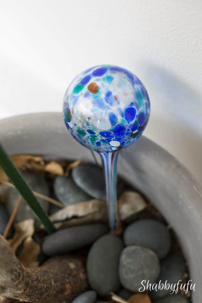 self watering blue globe