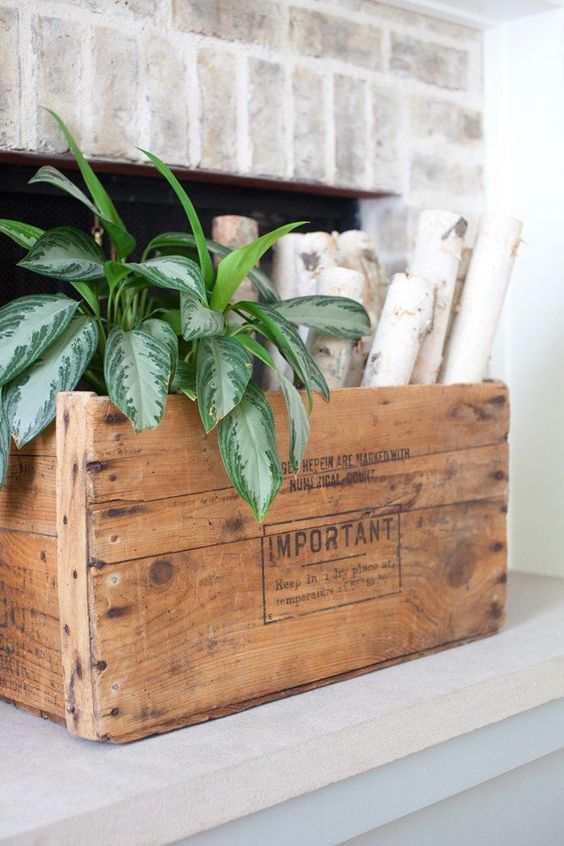 decor idea featuring wooden crates with plants and wood locks