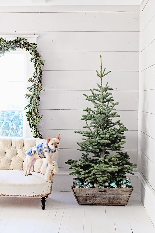 3 Hottest Christmas Decorating Trends To Try