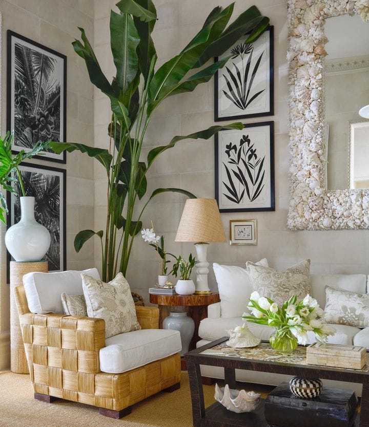 palm tree leaf decor idea featuring a tropical style living room with framed black and white palm tree leaves artwork