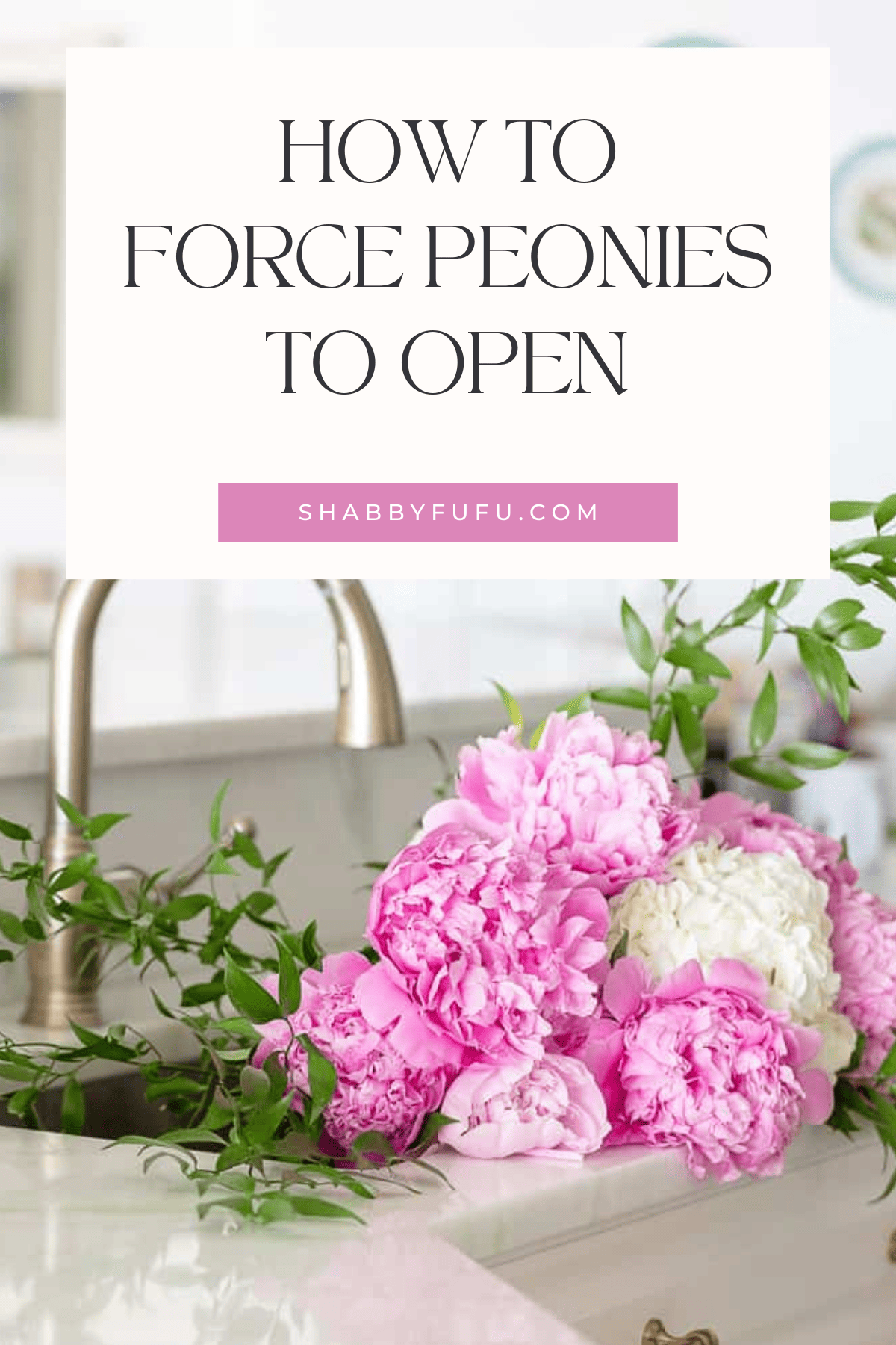 decorative graphic for Pinterest titled "How to force peonies to open"