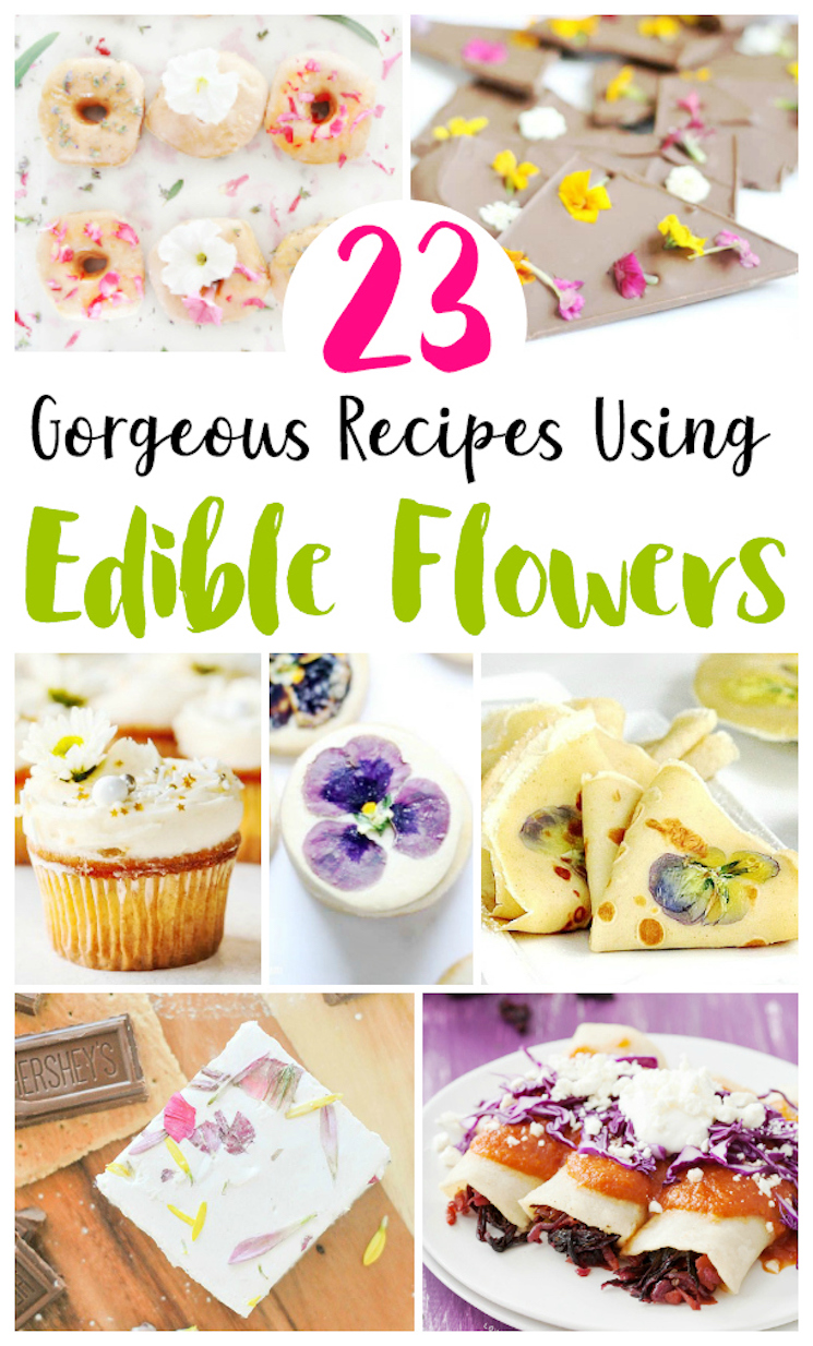 23 gorgeous recipes using edible flowers