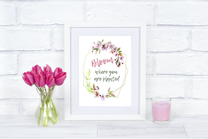The Bloom Collection – Free Spring Printable Trio