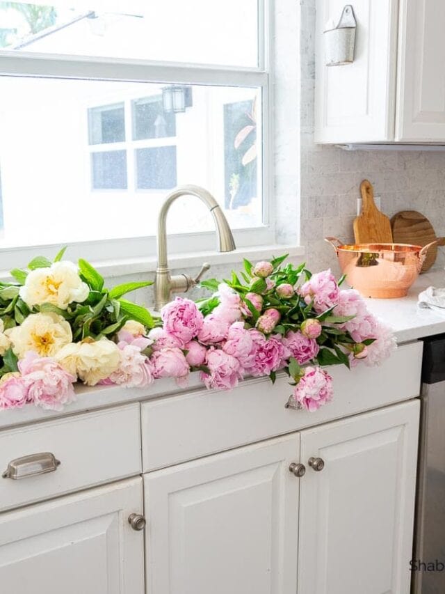 soaking peonies in the sink