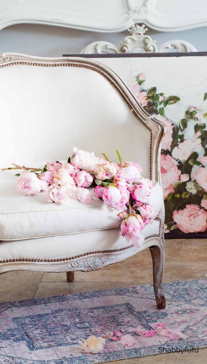 peonies on a French chair shabbyfufu