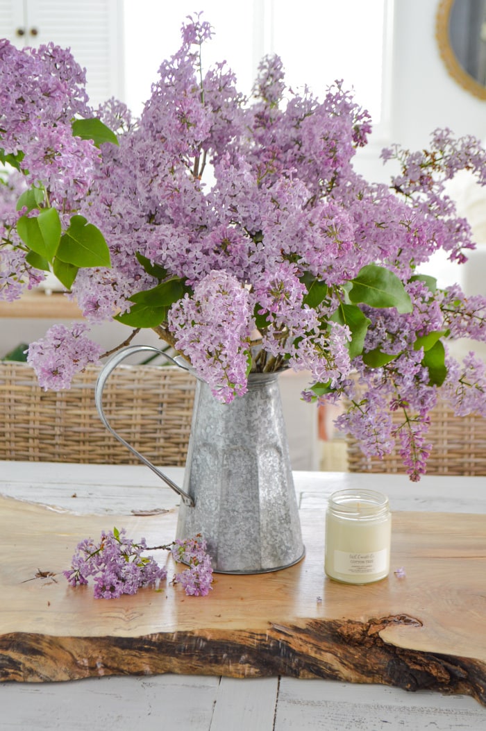 metal pitcher of lilac branches