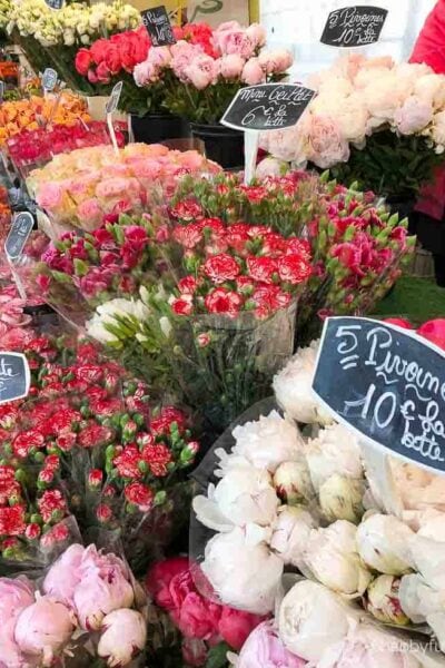 flower market with peonies in France