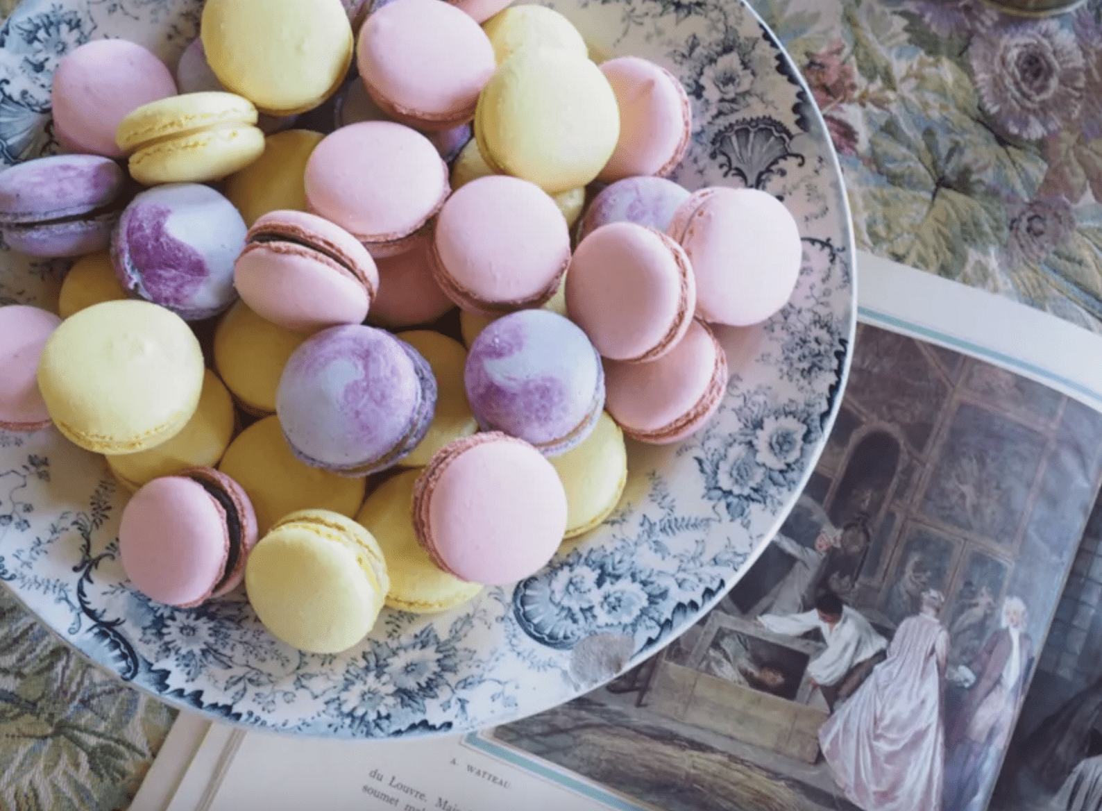 French Country Fridays 231 | Macarons, Virtual Travel & Saving Summer Flowers!
