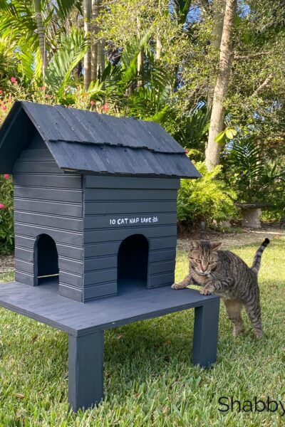build outdoor cat house diy shabbyfufu