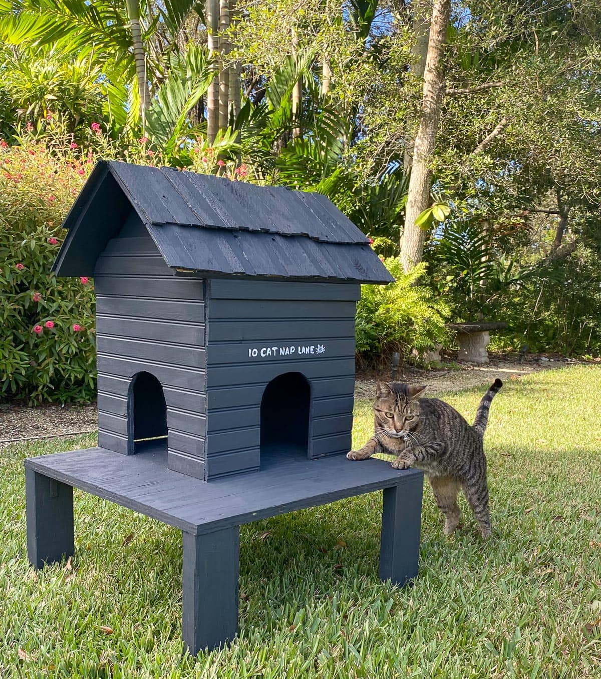 How to Build a Kitty Condo to Keep Stray Cats Warm This Winter