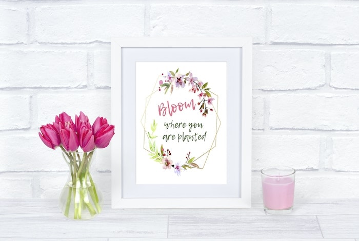 Bloom Collection – Free Spring Printable Trio