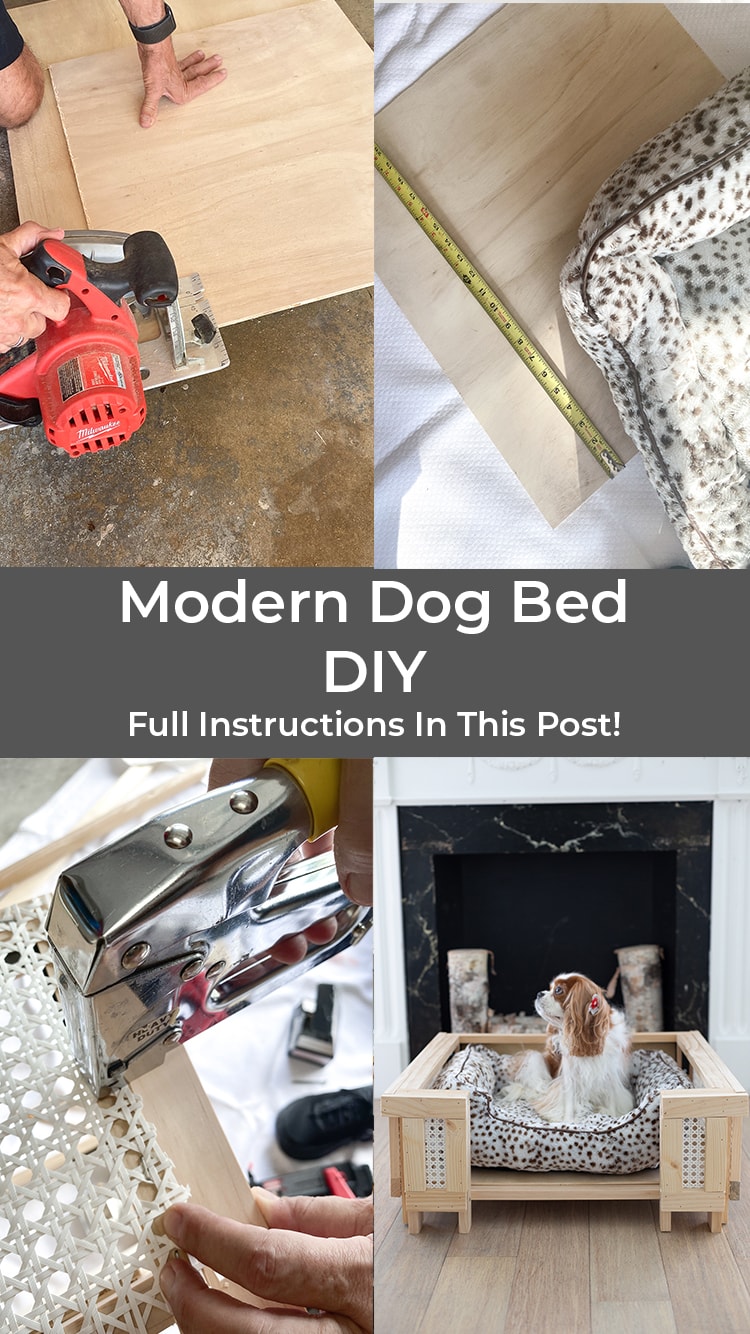 Modern Dog Bed DIY - Pinterest