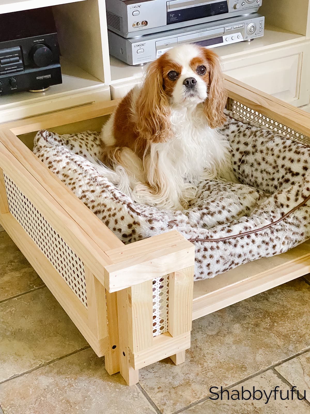Darby in the modern dog bed diy