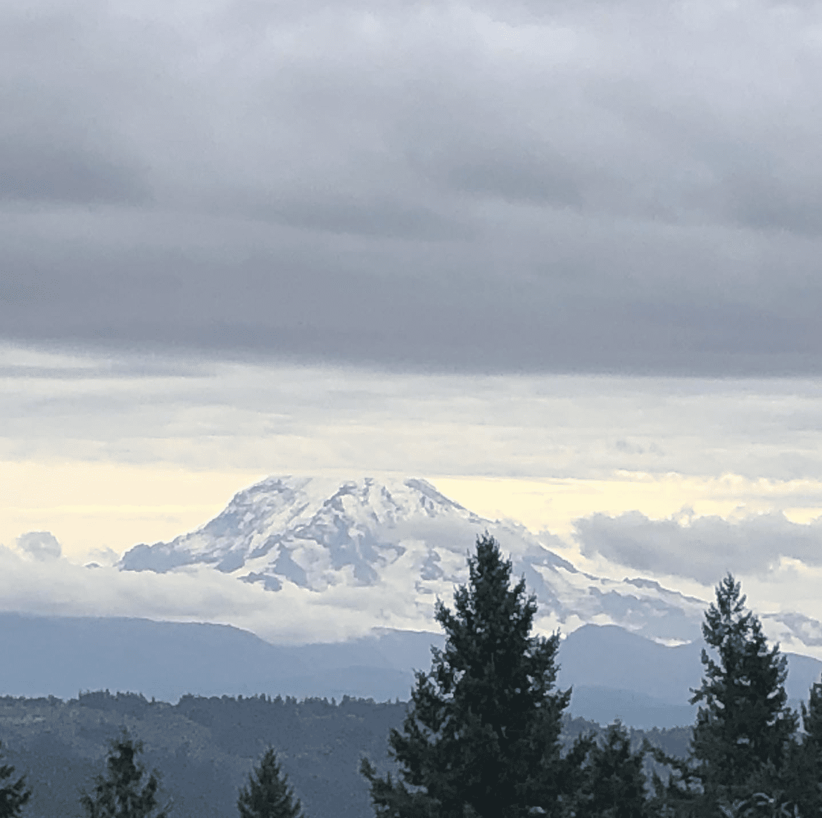 views of the mountains from Seattle