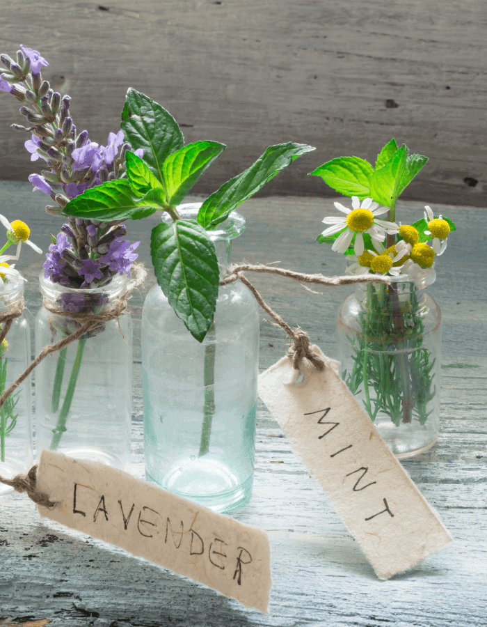 herbs and flowers arrangement in botanical style bottles as vases with labels that read "lavander"