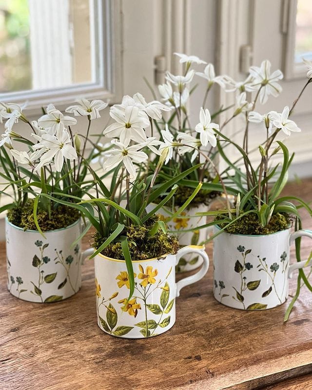ceramic cups used as plan pots with white flowers. A fantastic idea to repurpose items when redecorating your home for free tips and ideas