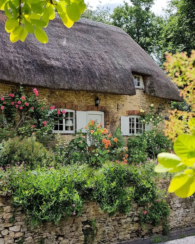 outdoor image of cottage and garden