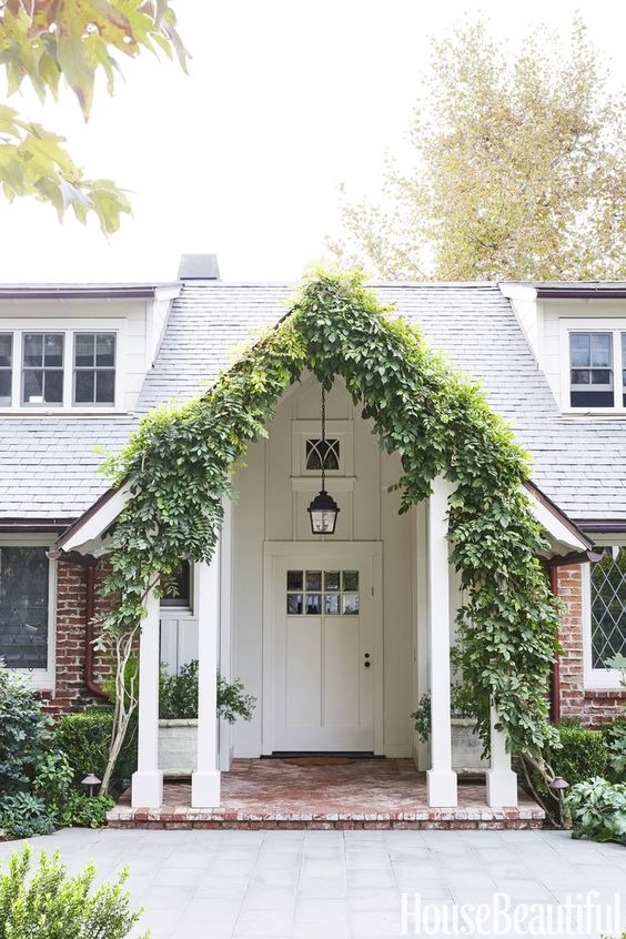 ivy vines covered white portico
