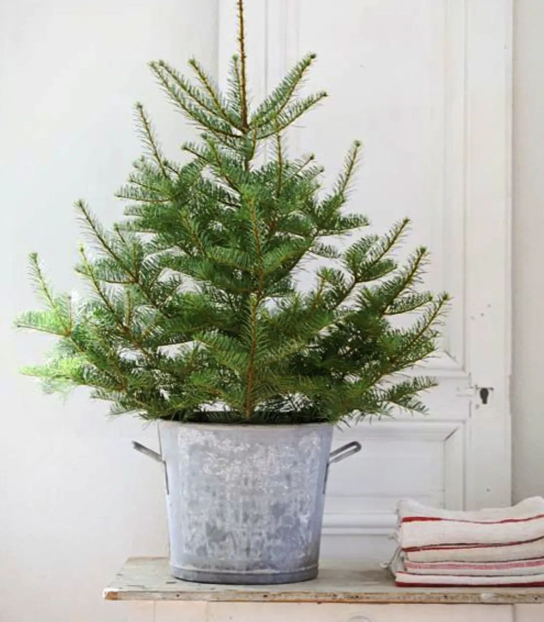 Natural Christmas tree idea featuring a galvanized base cover