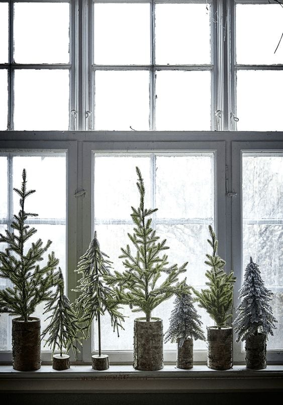 Christmas tree idea featuring a small collection of trees next against a window