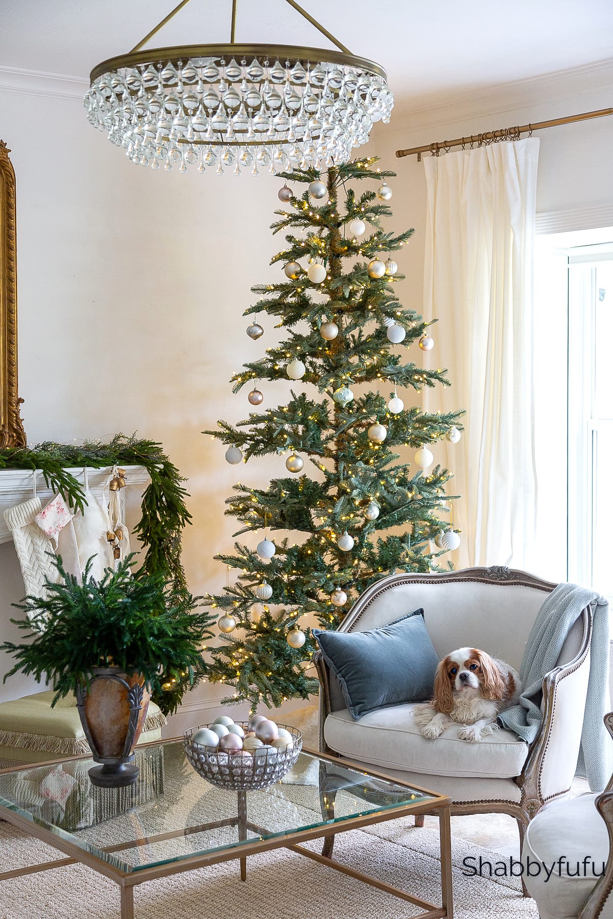 French style living room decorated for Christmas with Darby the Cavalier King Charles Spaniel