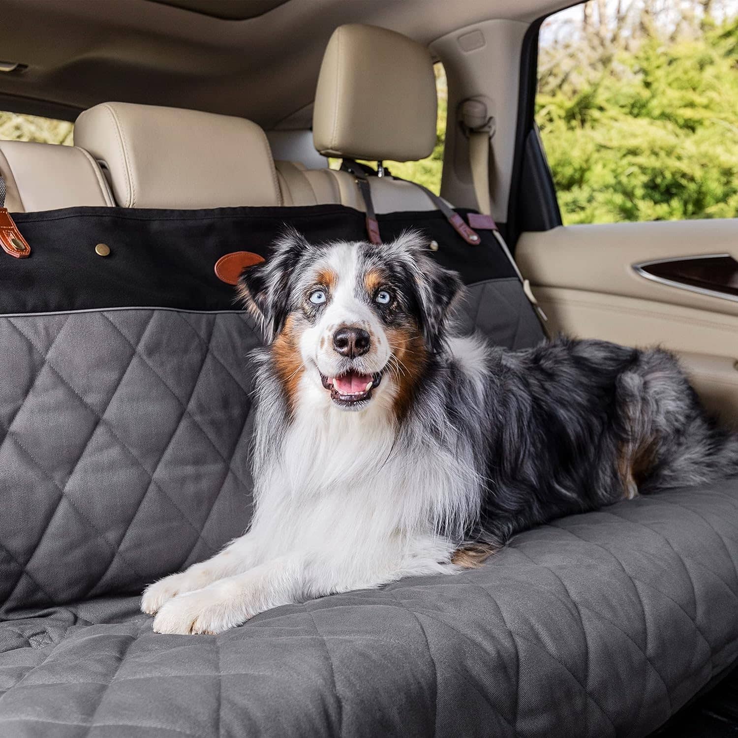 Car protective dog blanket
