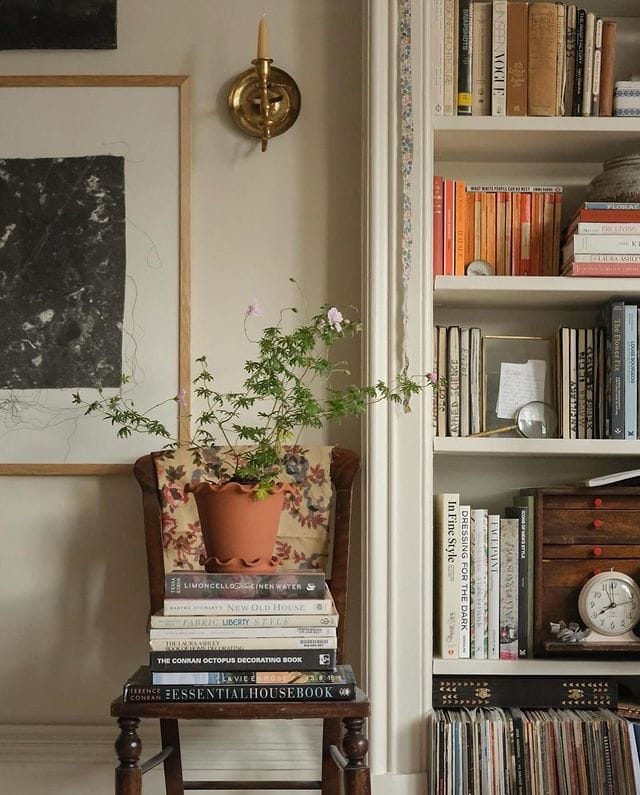 Hard-to-kill indoor plant option featuring a potted green plant on top of a chair