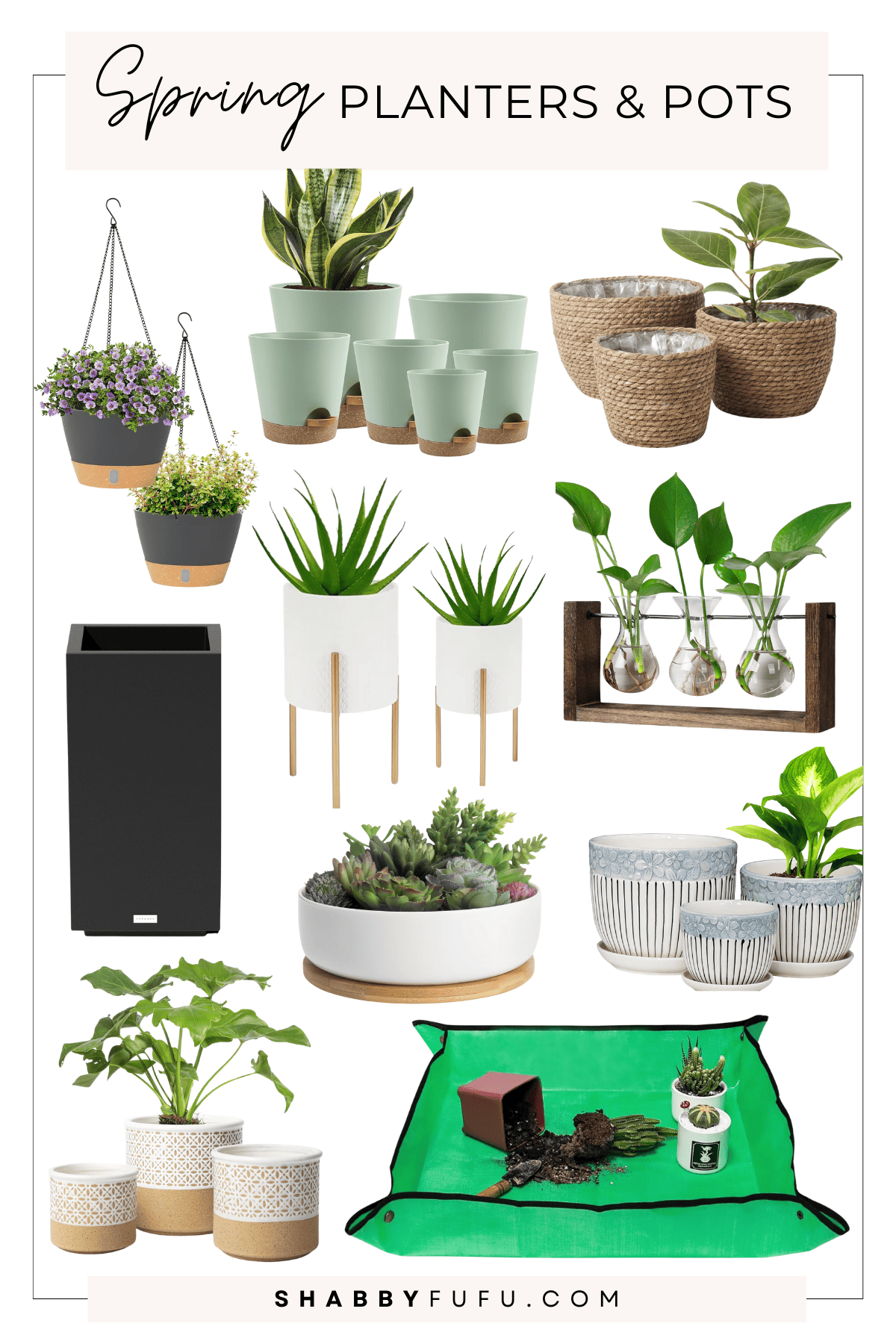 Decorative Pinterest image featuring a collage of products for indoor plants