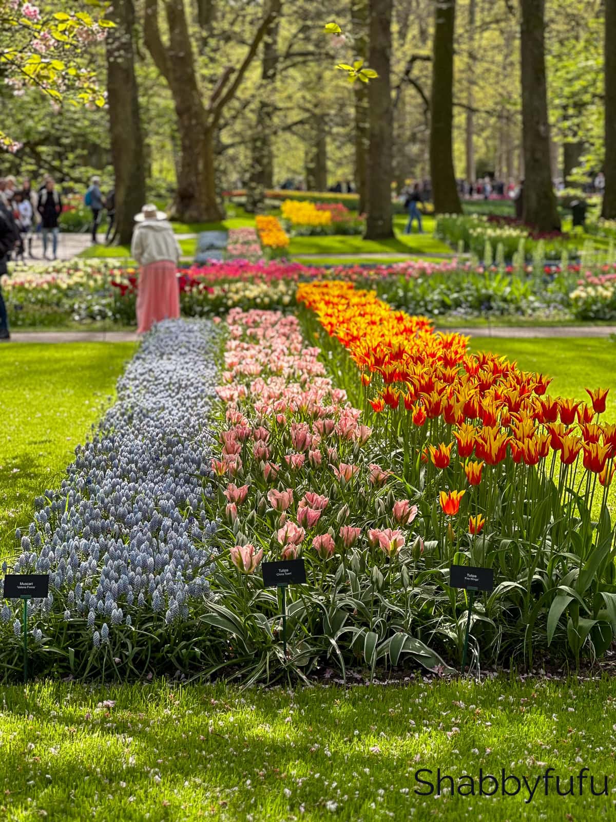 Keukenhof Tulip Gardens, Viking Rhine River cruise