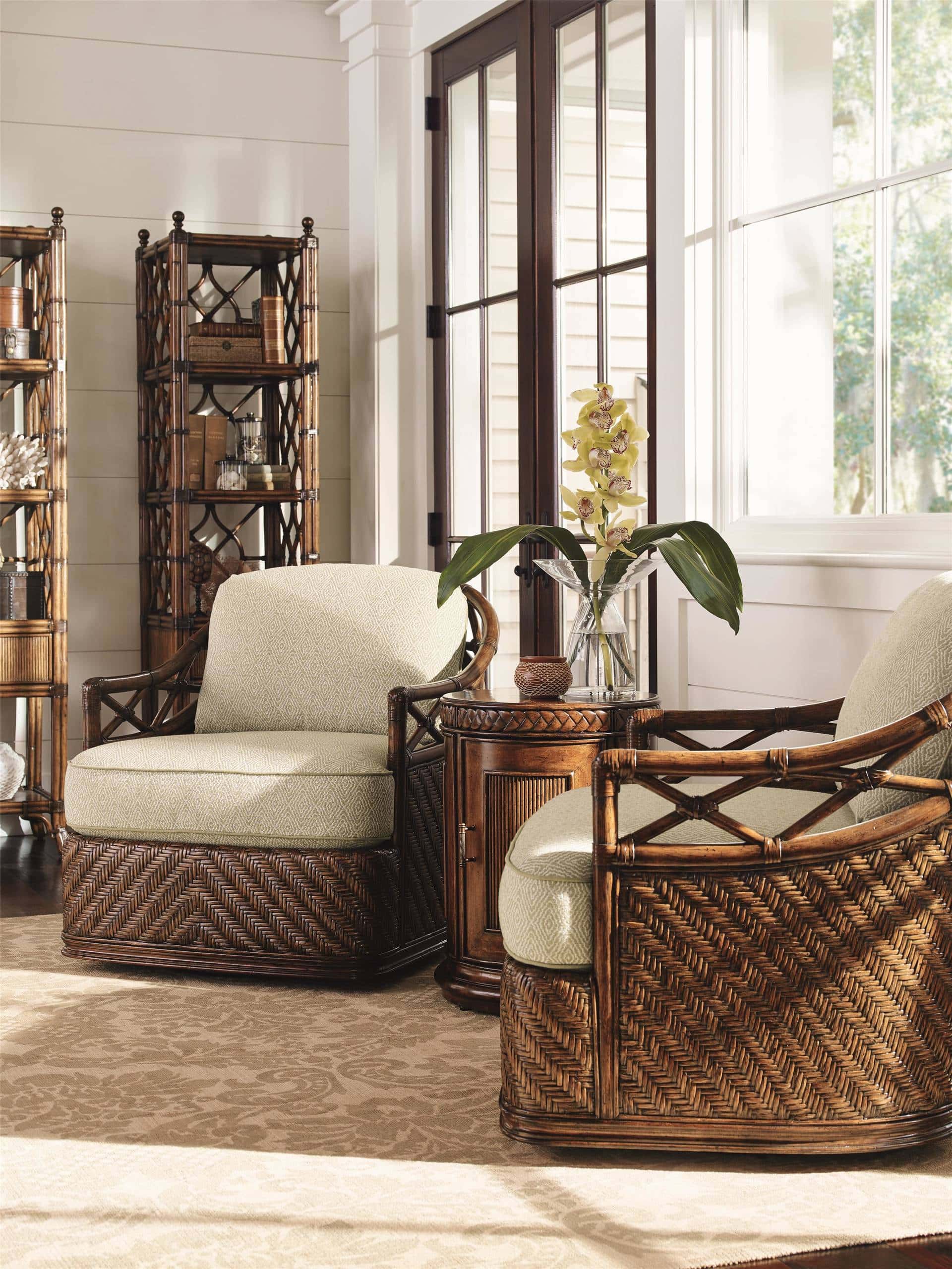 tropical decor living room 