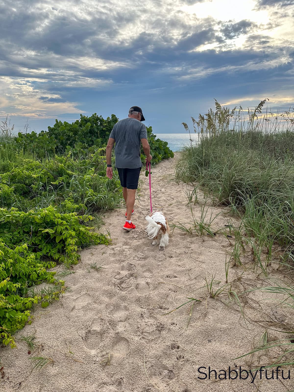 at our beach home
