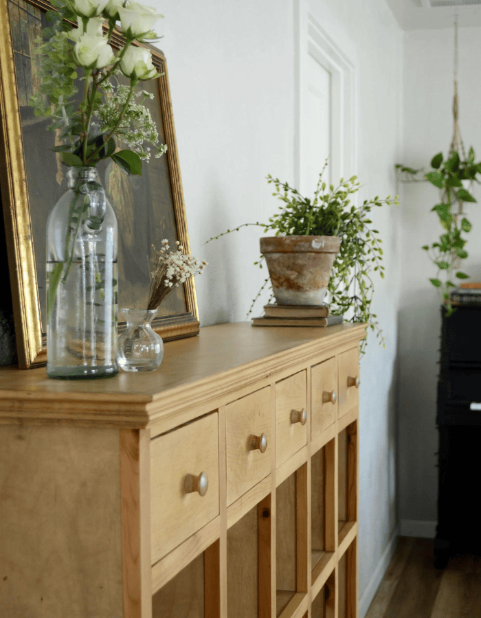 Example of modern foyer decorating ideas featuring shoe cabinet