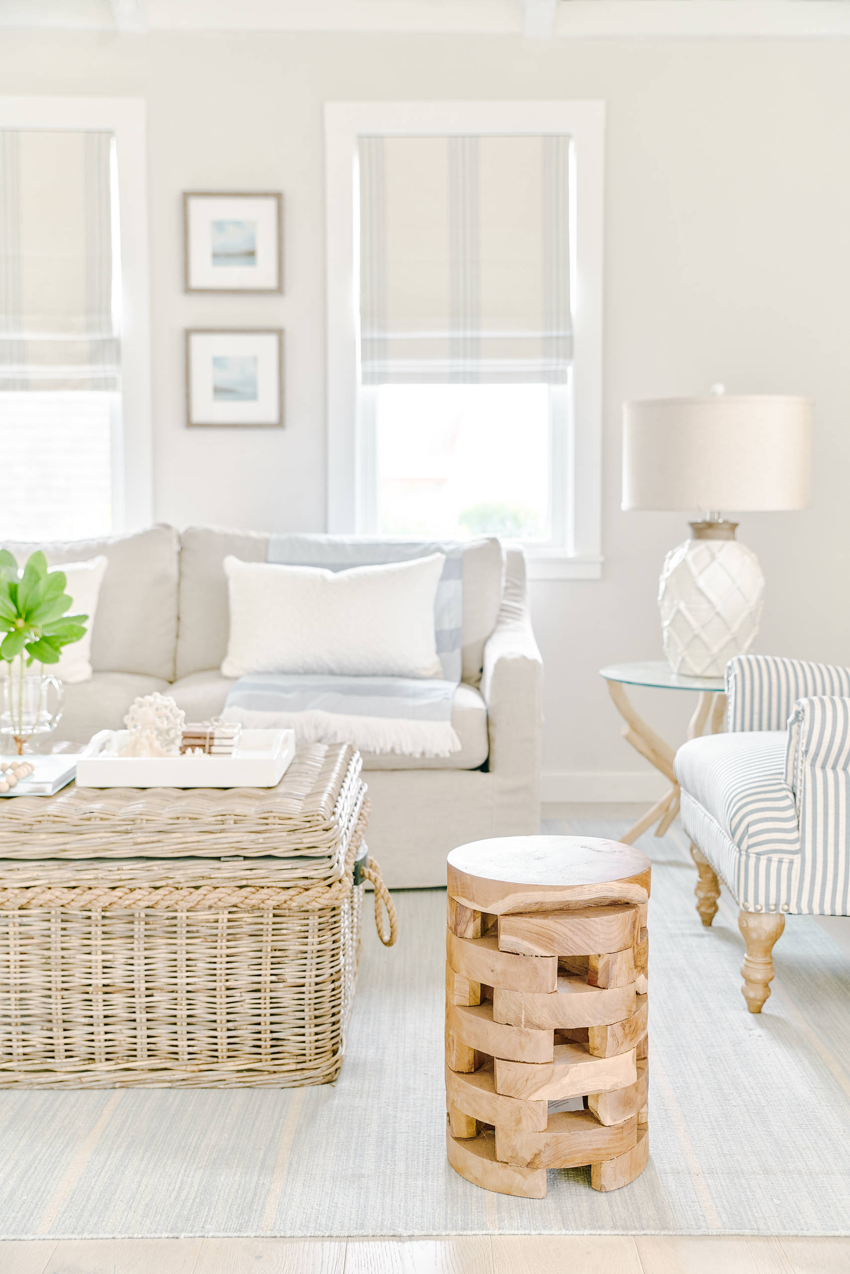 Modern living room decor ideas featuring a transitional living room with a modern coastal style.