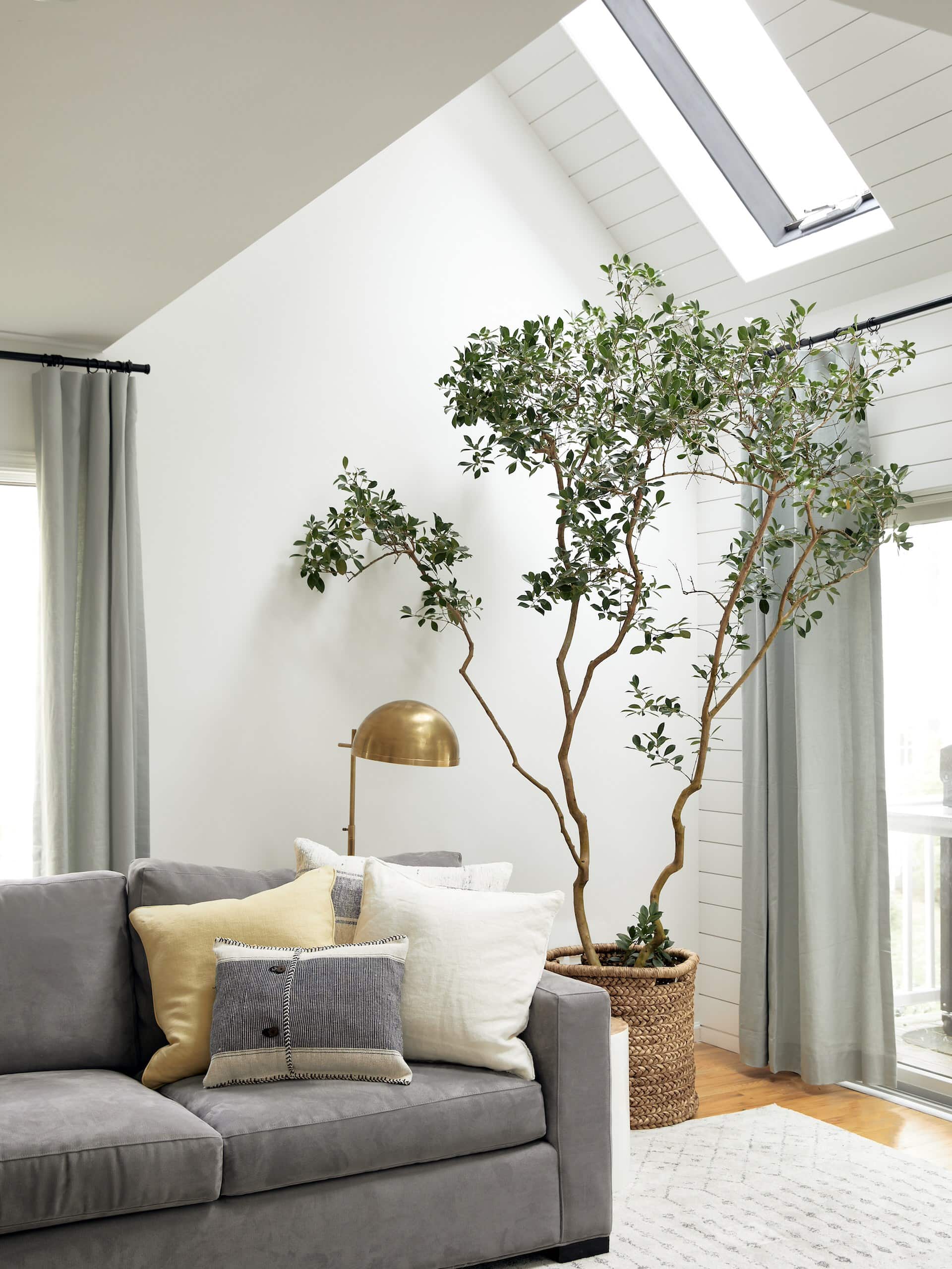 Modern living room decor ideas featuring a transitional living room with a transitional style.