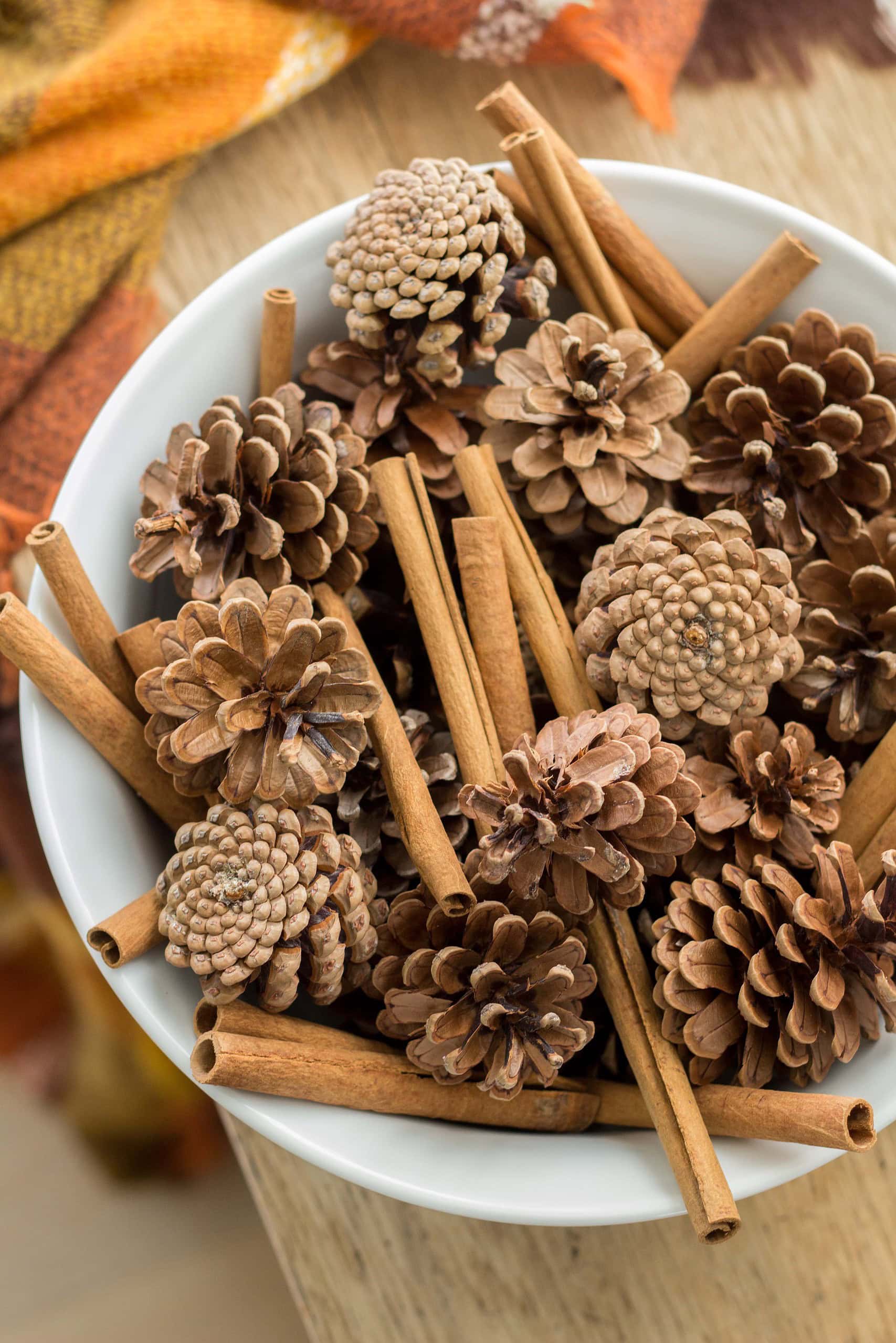 Example of minimalist fall decor ideas featuring a bowl of pinecones