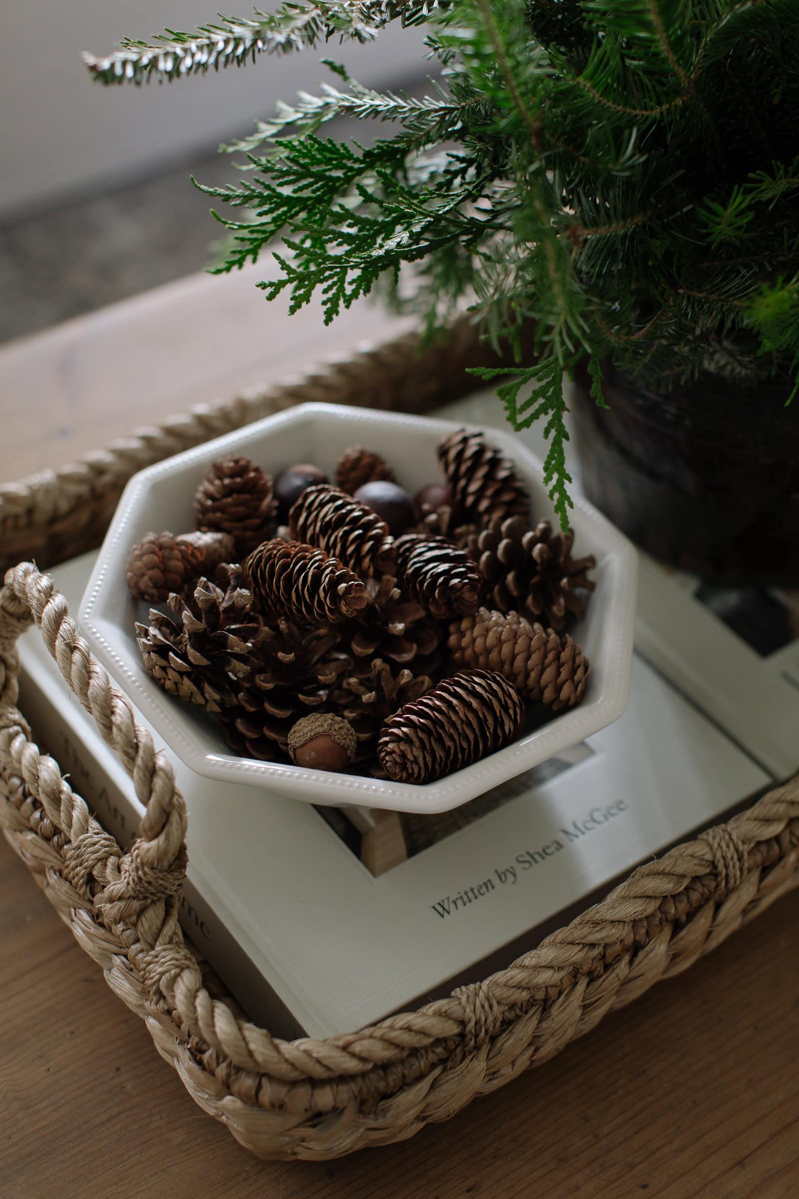 Example of cozy Christmas decor featuring living room decorated in traditional style.