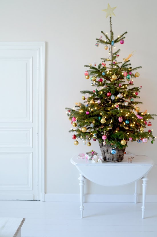 Kid-friendly Christmas decor ideas example featuring a evergreen Christmas potted tree