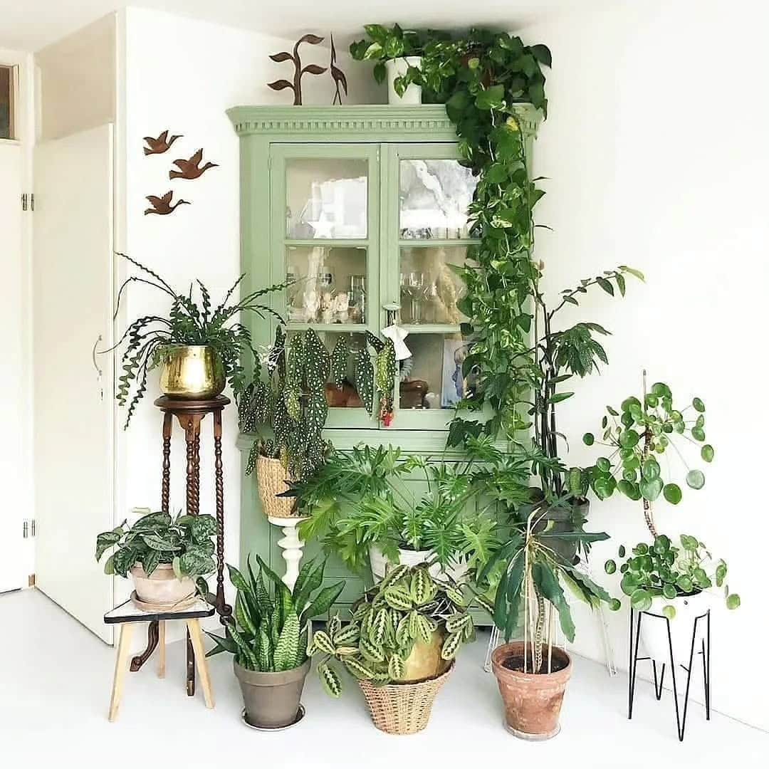 Home design trends 2025 idea featuring a indoor plants in a scandi living room
